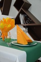 Yeşil Airlaid 40*120 Runner (4'lü Koli)